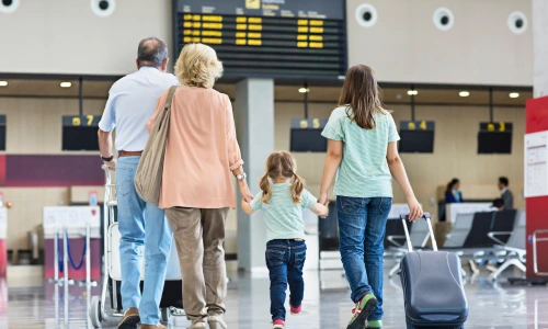 Plane and purple sunset