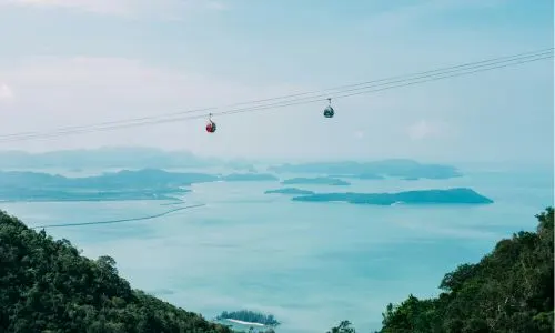 Trees near a body of water under a blue sky, with zipline over it