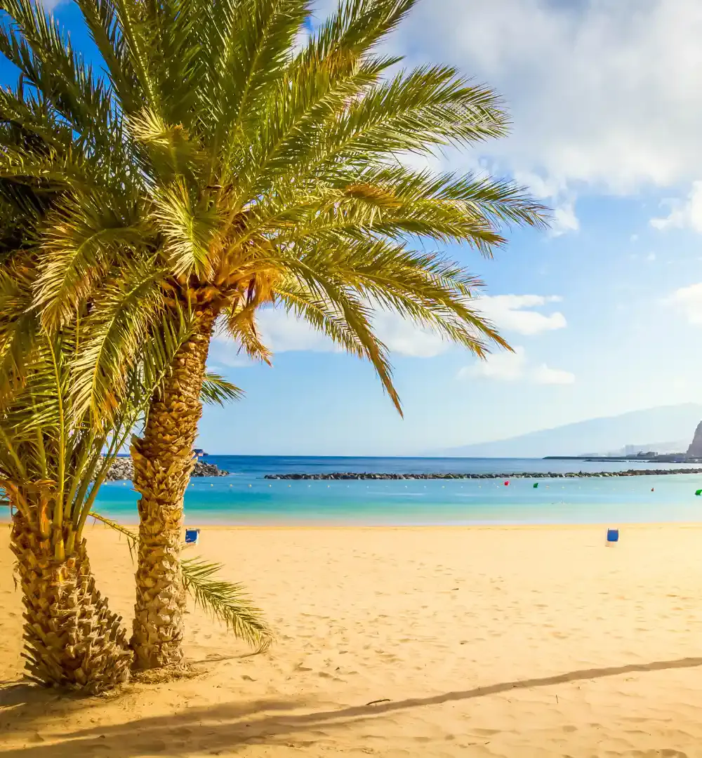 A bright sandy beach with blue water and sky in the background, with palm trees in the foreground, in Tenerife, Spain