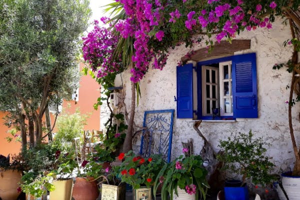 Image of a white house in Corfu with a blue window and lots of flowers
