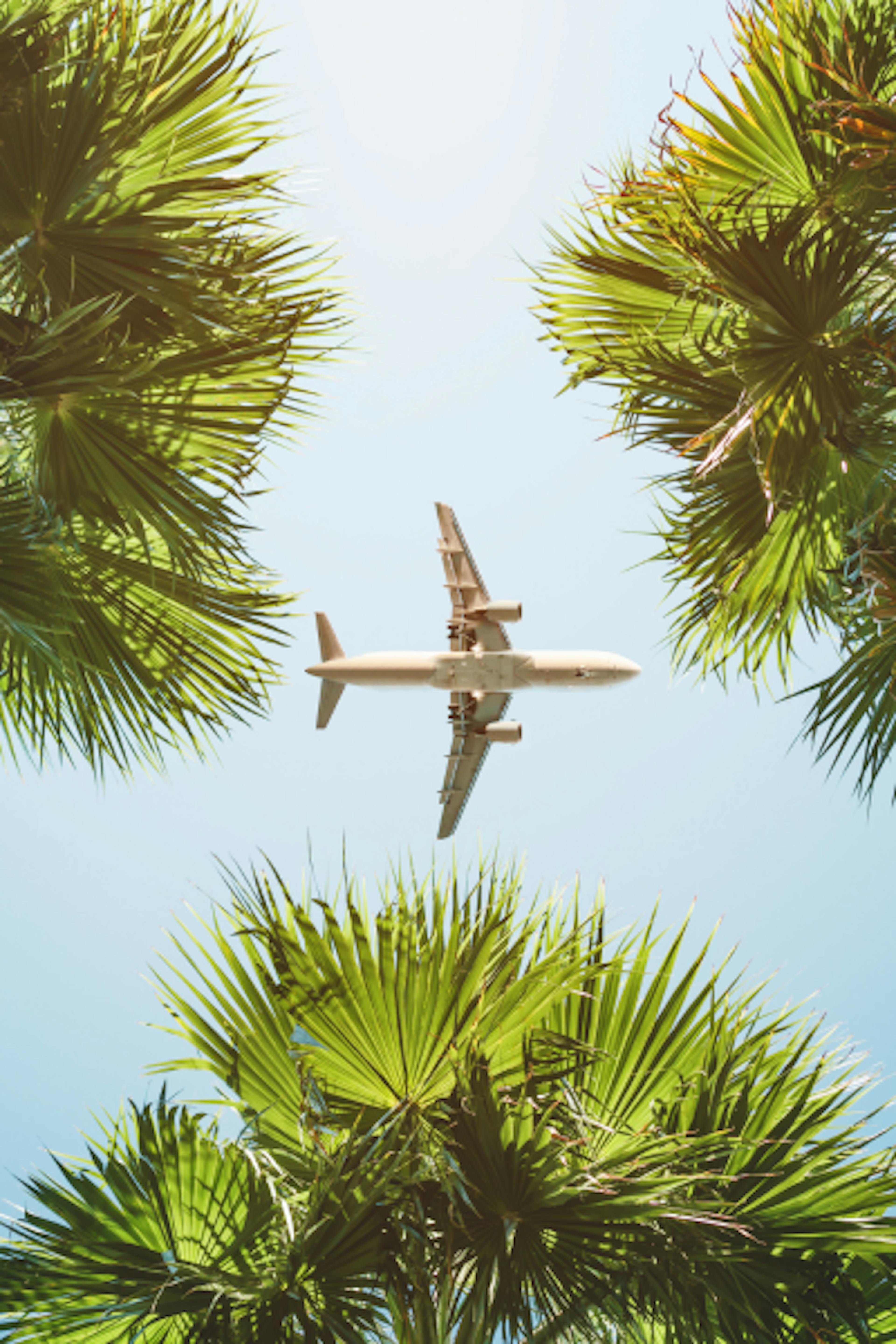 Green, EcoFriendly and Sustainable Airlines