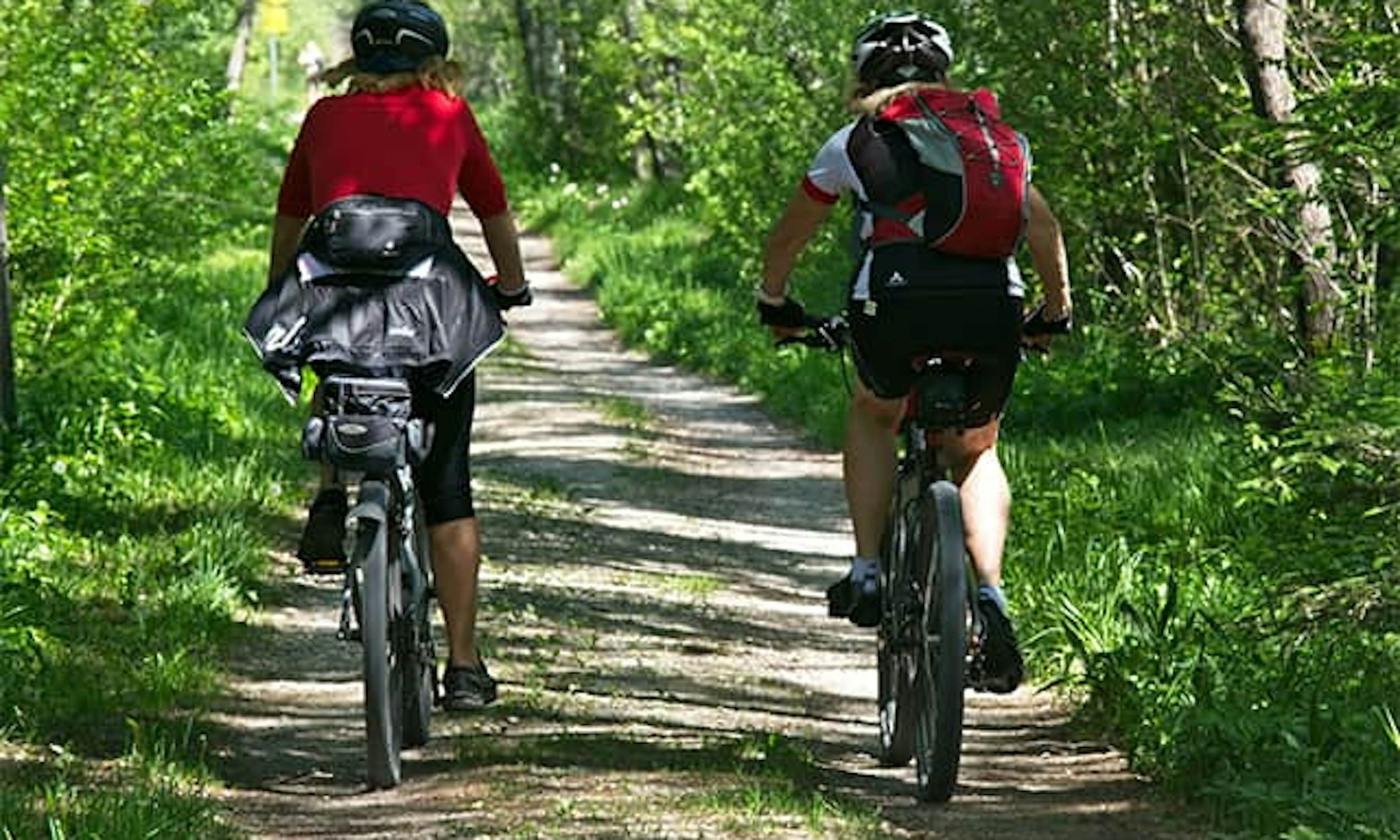 2 cyclists riding through a forest