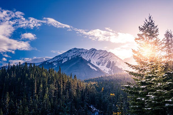 Mountains behind a forest in Canada
