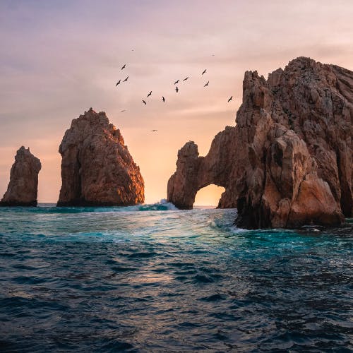 Search & Book Direct Flights to Cabo San Lucas | 600 + Airlines
