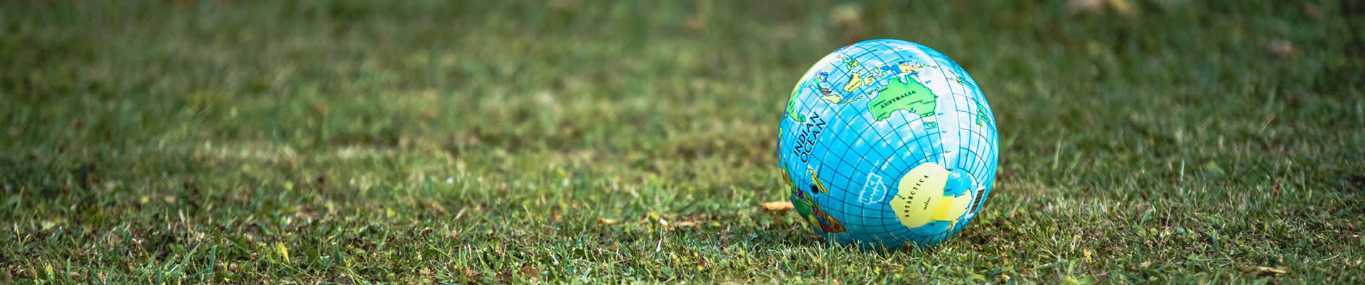 earth globe on green grass