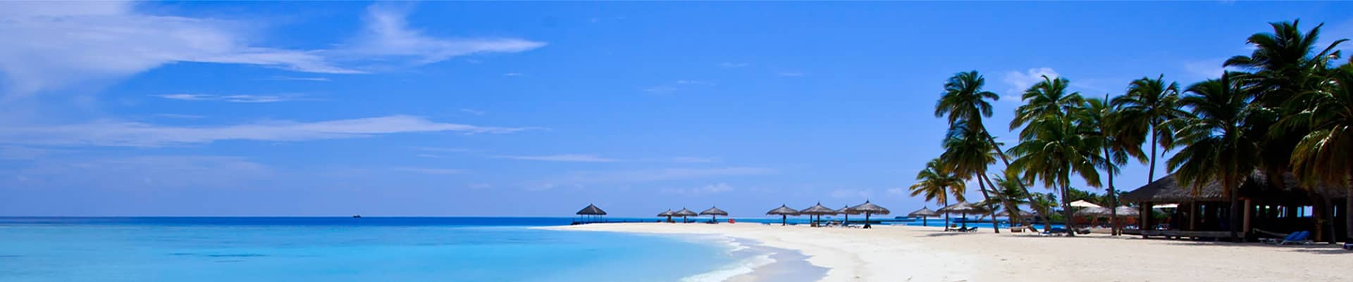 Sandy caribbean beach island with palm trees