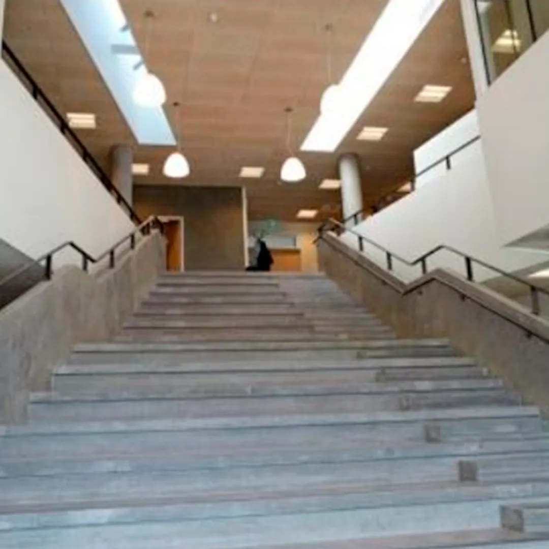 Hljóðpanelar Troldtekt Plus