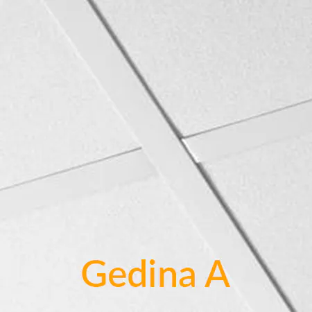 Kerfisloft Ecophon Gedina