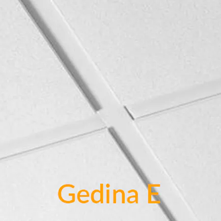 Kerfisloft Ecophon Gedina
