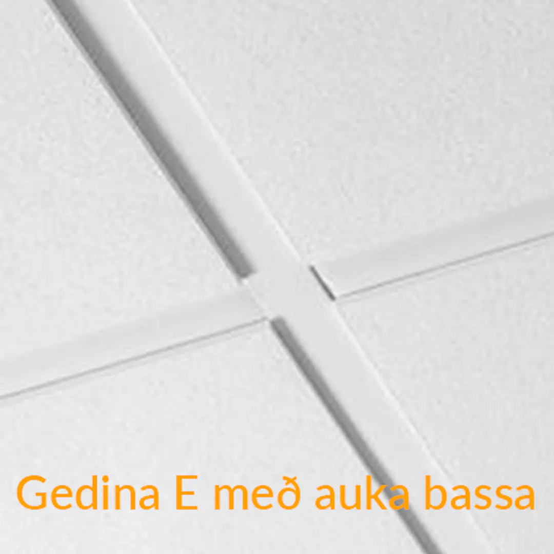 Kerfisloft Ecophon Gedina