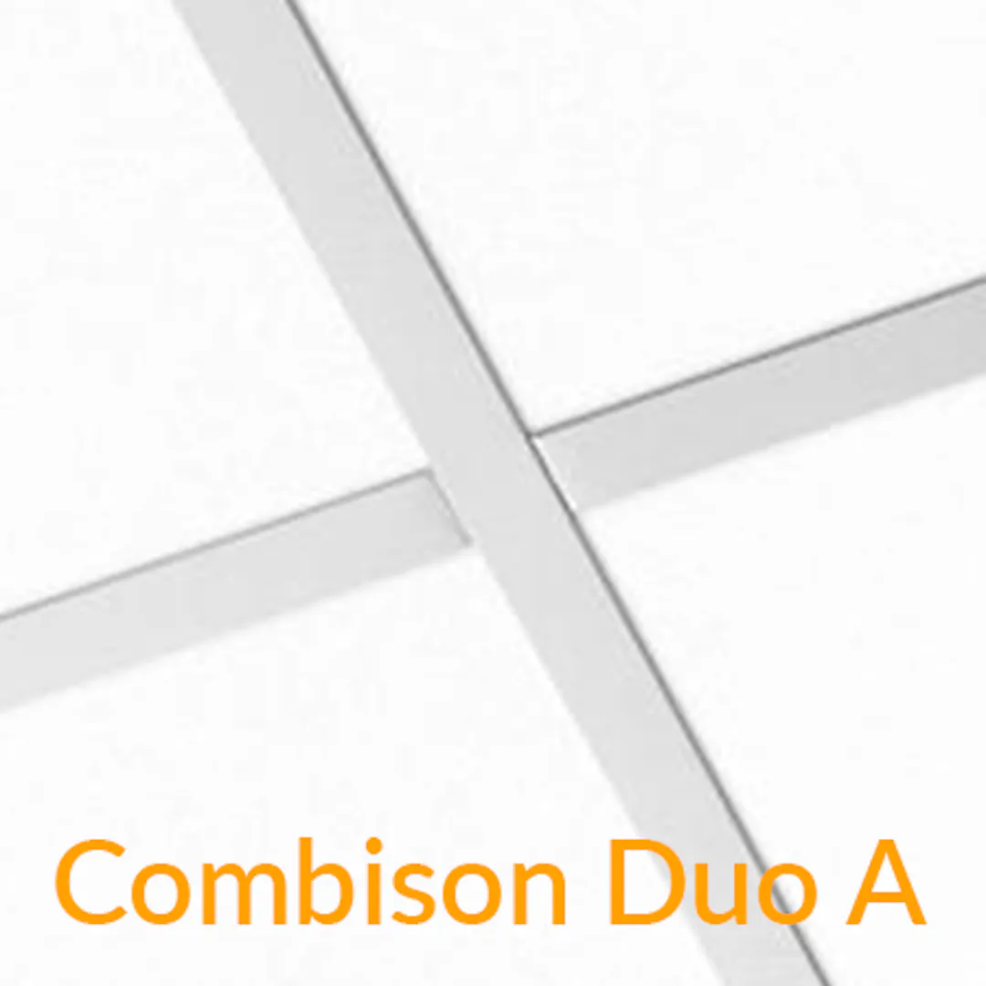 Kerfisloft Ecophon Combison