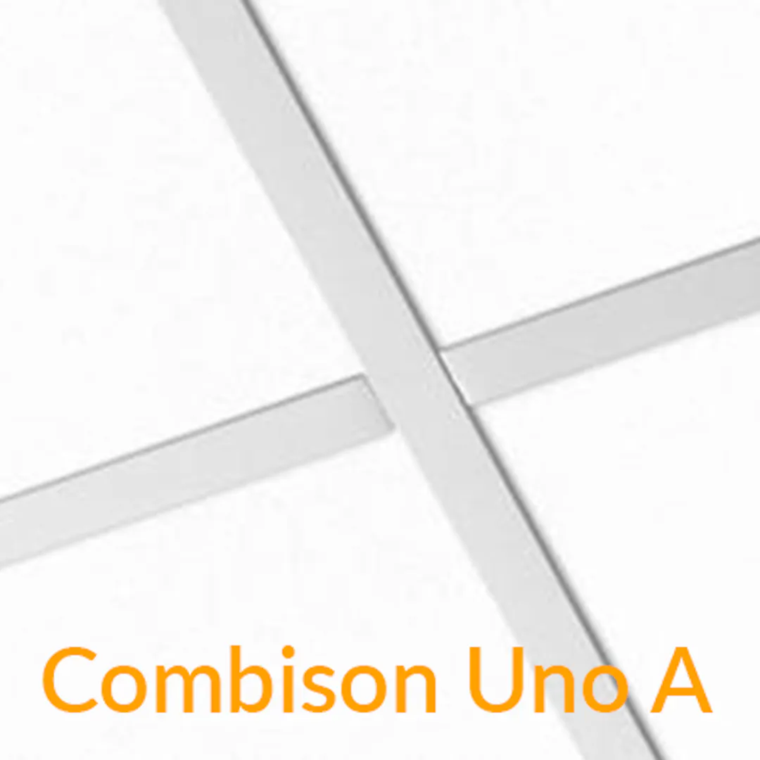 Kerfisloft Ecophon Combison