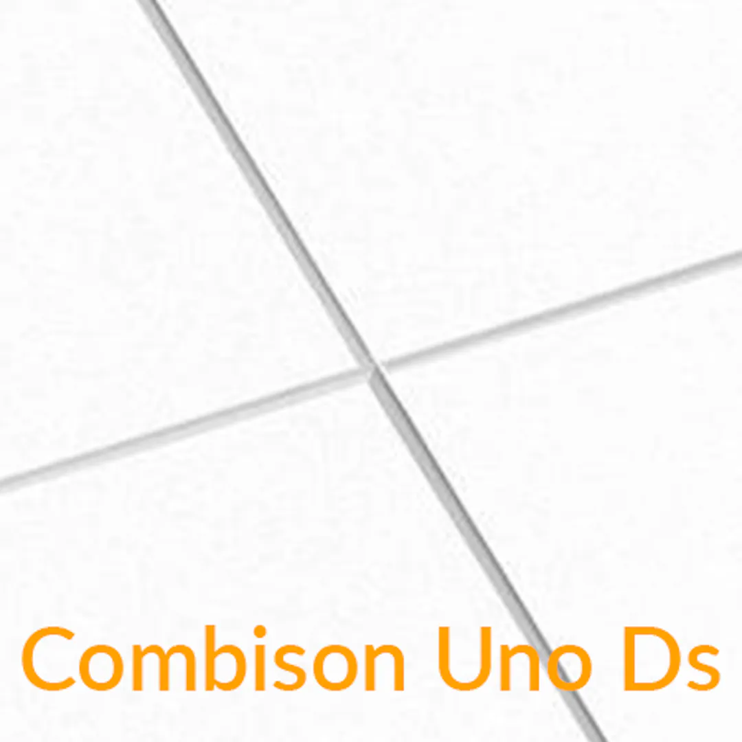 Kerfisloft Ecophon Combison