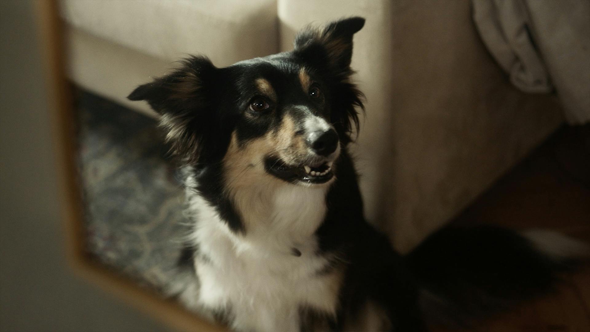 30 millions d'amis | Jour après jour