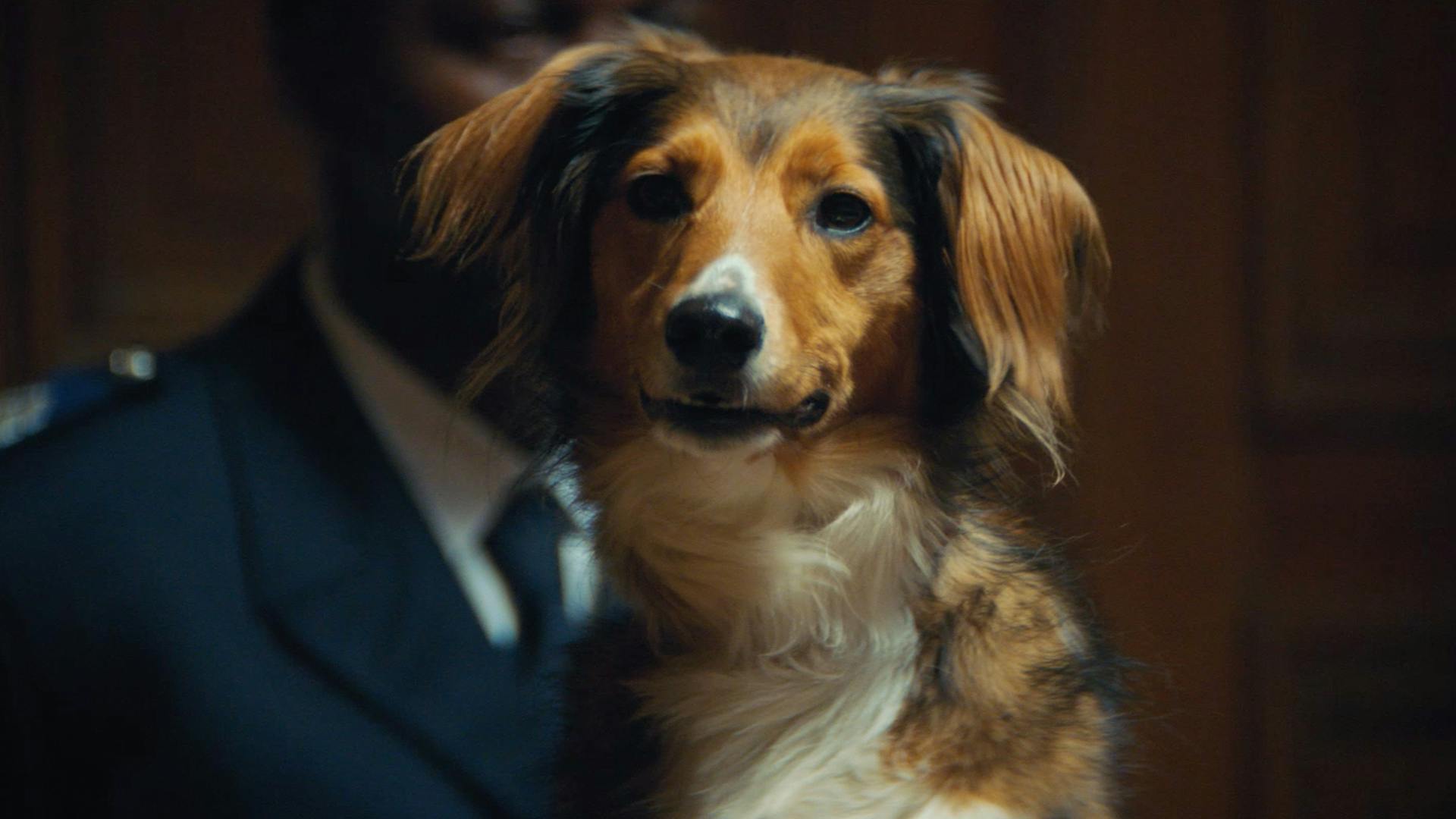 null | Les Innocents