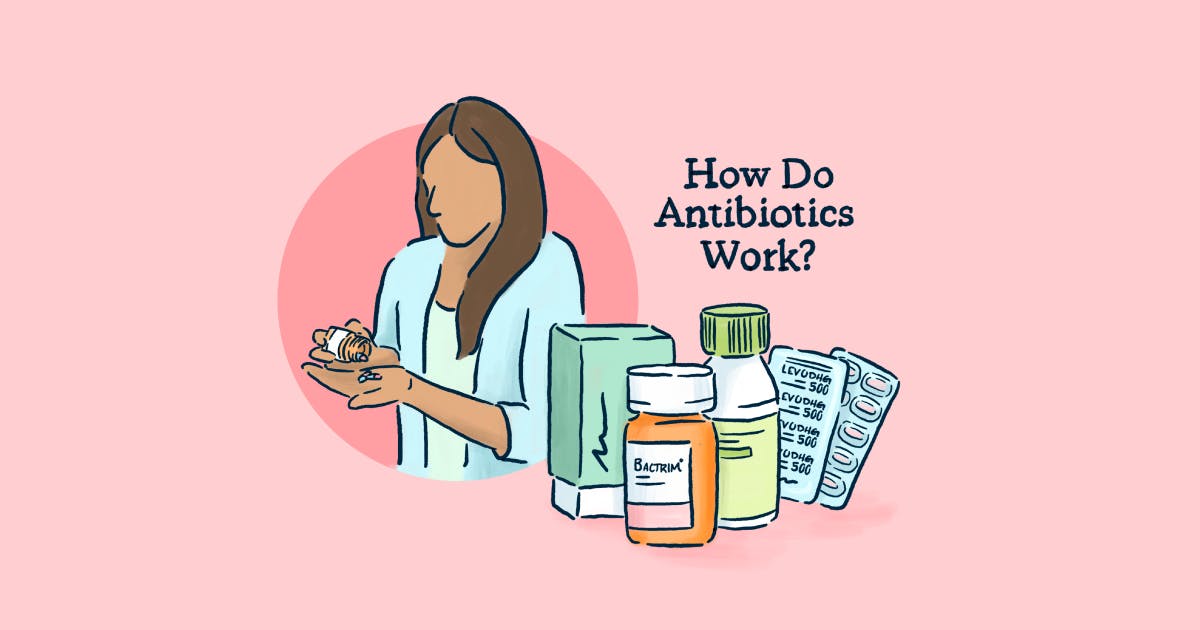 how-do-antibiotics-work