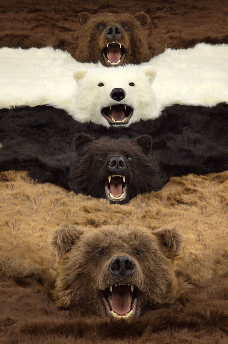 Paola Pivi – What goes round, art comes round