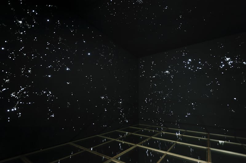 Irena Lagator Pejović – Image Think