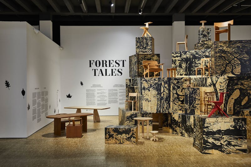 AHEC – Forest Tales