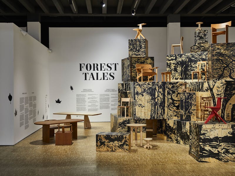 AHEC – Forest Tales