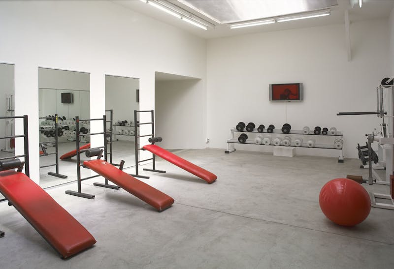 Francesco Vezzoli – Le Gymnasium