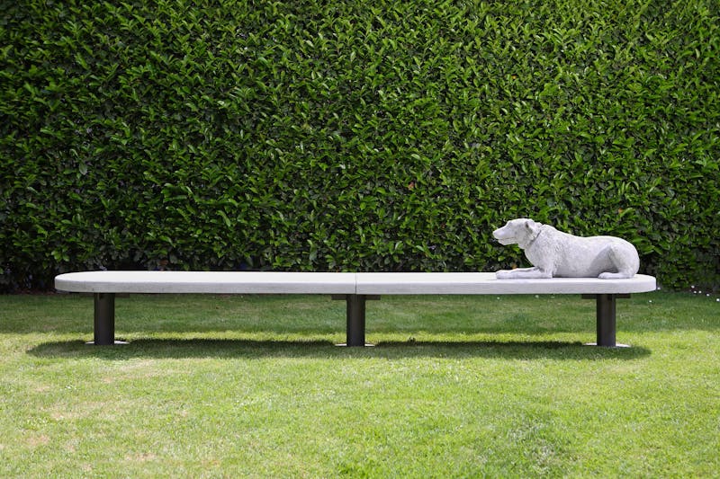 Alberto Garutti – Il cane qui ritratto appartiene a una delle famiglie di Trivero. Quest’opera è dedicata a loro e alle persone che sedendosi qui ne parleranno