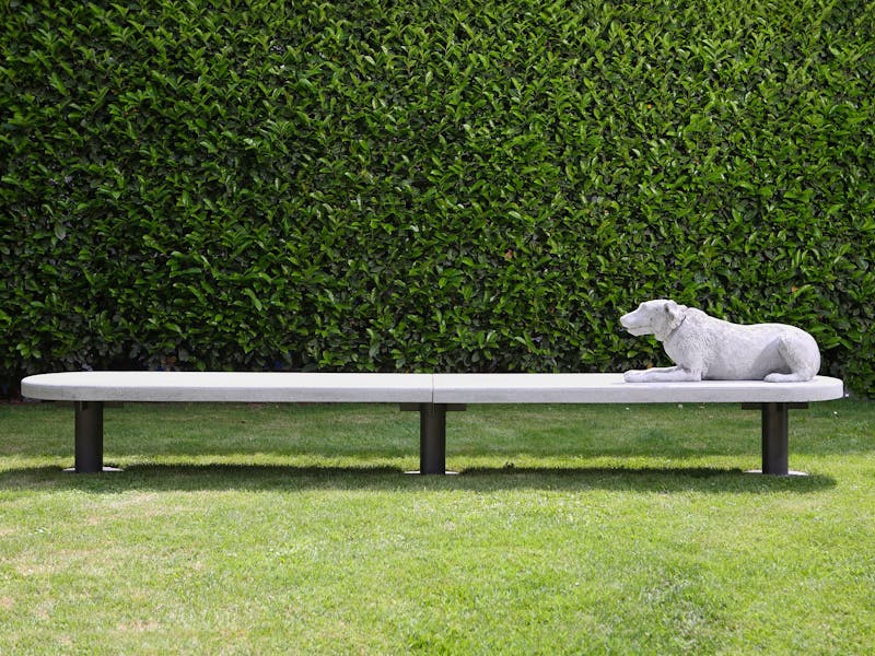 Alberto Garutti – Il cane qui ritratto appartiene a una delle famiglie di Trivero. Quest’opera è dedicata a loro e alle persone che sedendosi qui ne parleranno