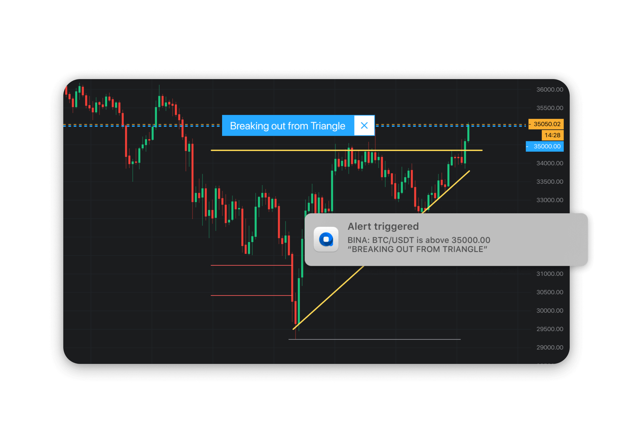 Altady trading crypto