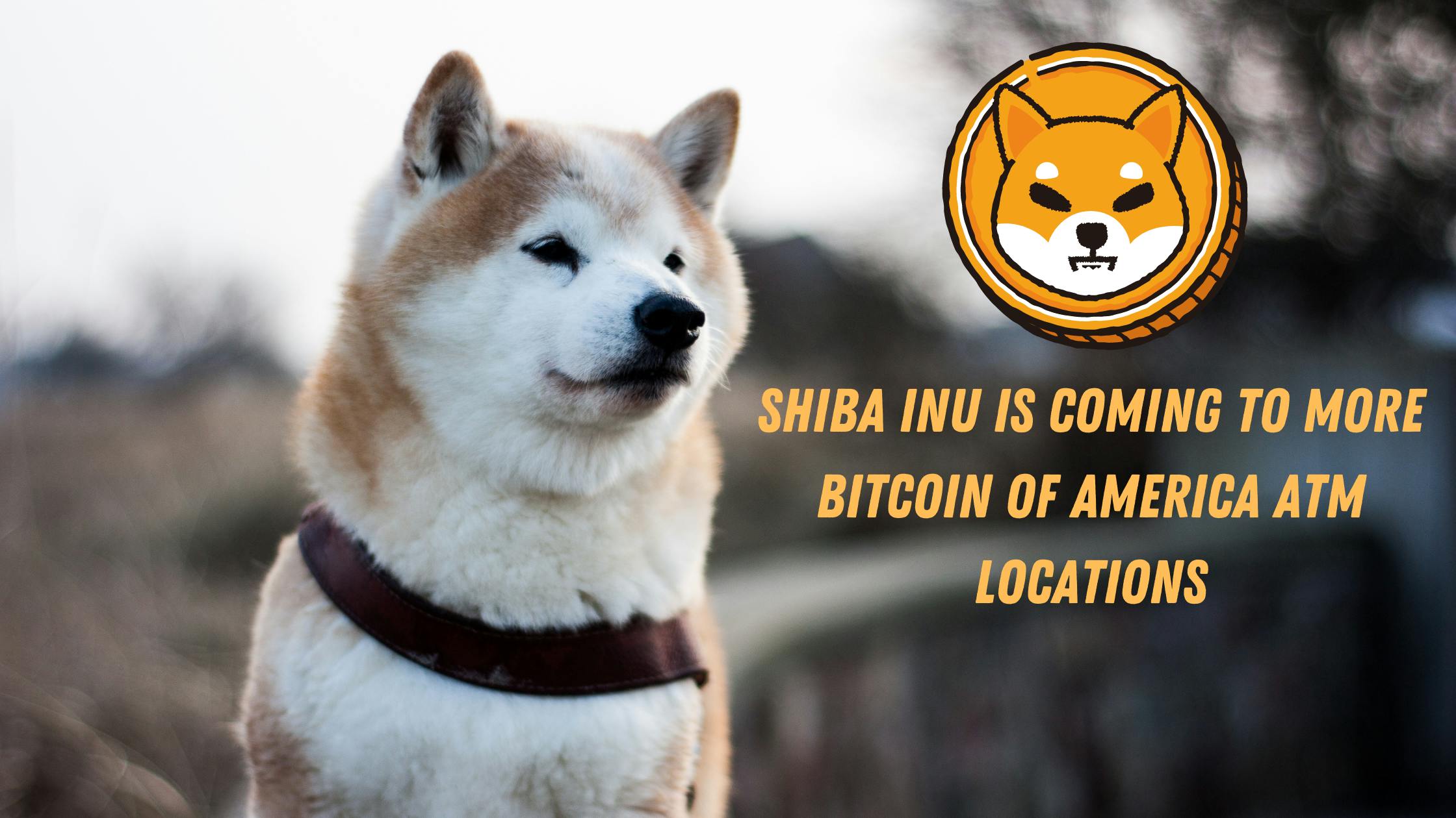 Shiba Inu Is Coming to More Bitcoin of America ATM Locations