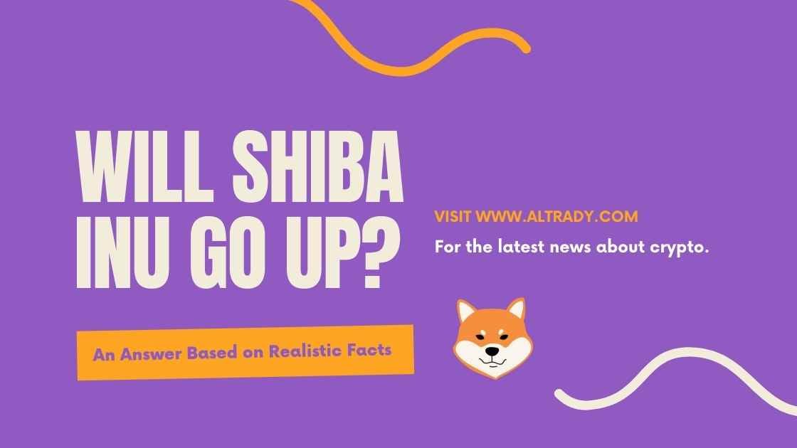 Will Shiba Inu Go Up