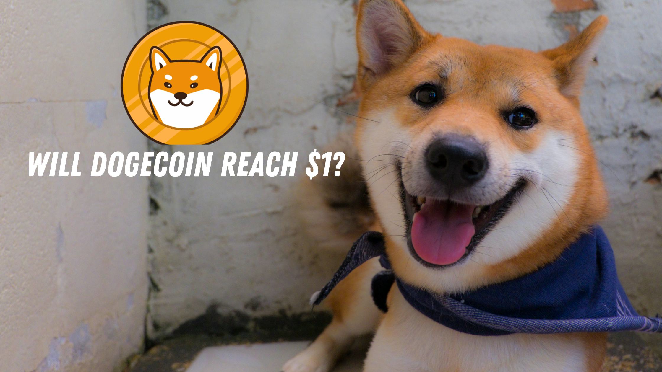 Will Dogecoin Reach $1 In Upcoming Years? A Question Whose Answer Every Meme Coin Lover Wants to Know