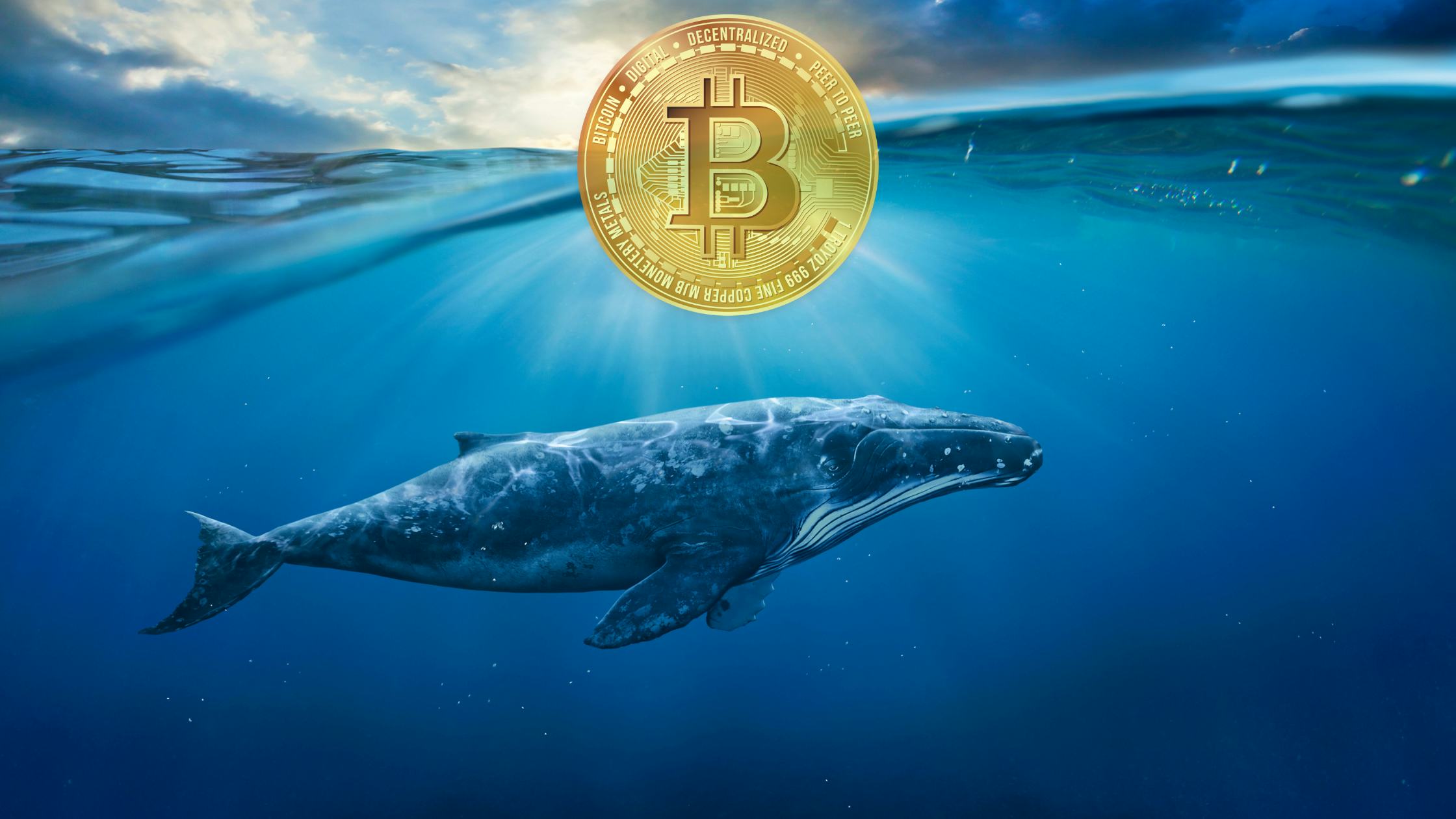 Ancient Bitcoin Whale Moves $100 Million