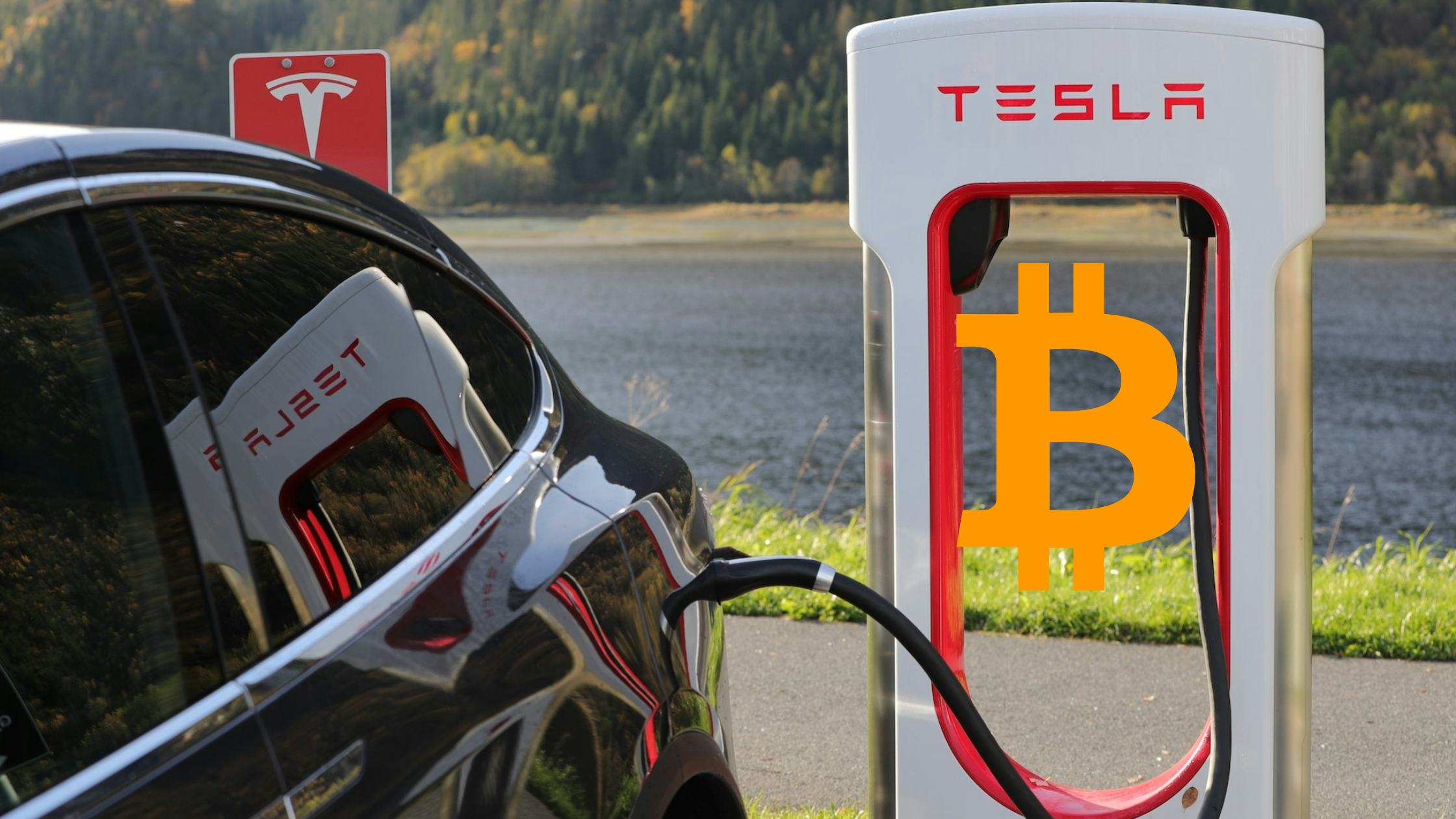 Here's How Much Tesla Lost by Selling Its Bitcoins at $29,000