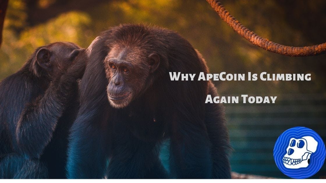 Why ApeCoin Is Climbing Again Today