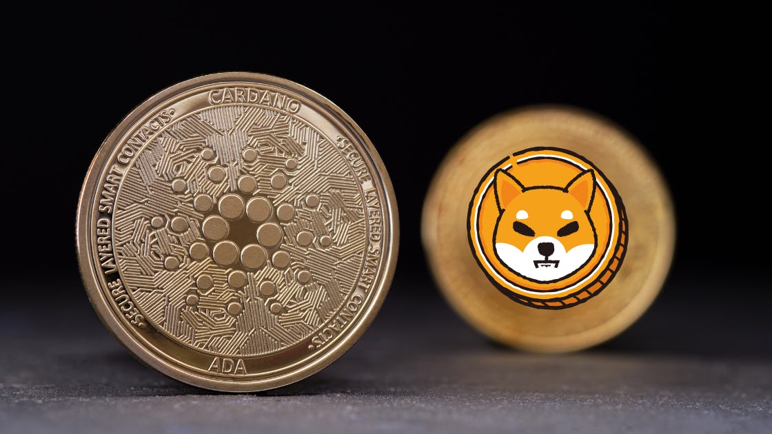 Shiba Inu (SHIB) and Cardano (ADA) Show Something You Don't Want to Miss!