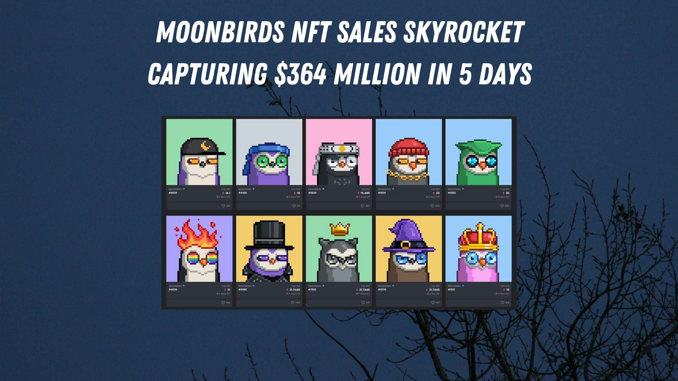 Moonbirds NFT Sales Skyrocket Capturing $364 Million in 5 Days