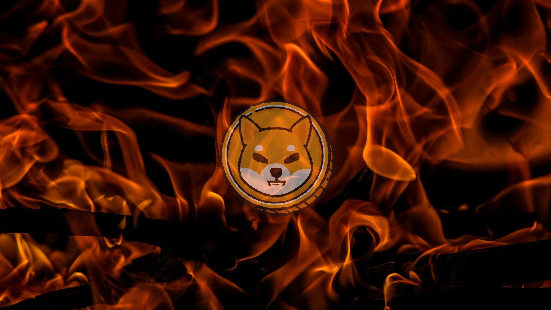 4.76 Billion SHIB Burned in July as Staggering Amount of SHIB Sent to Dead Wallets