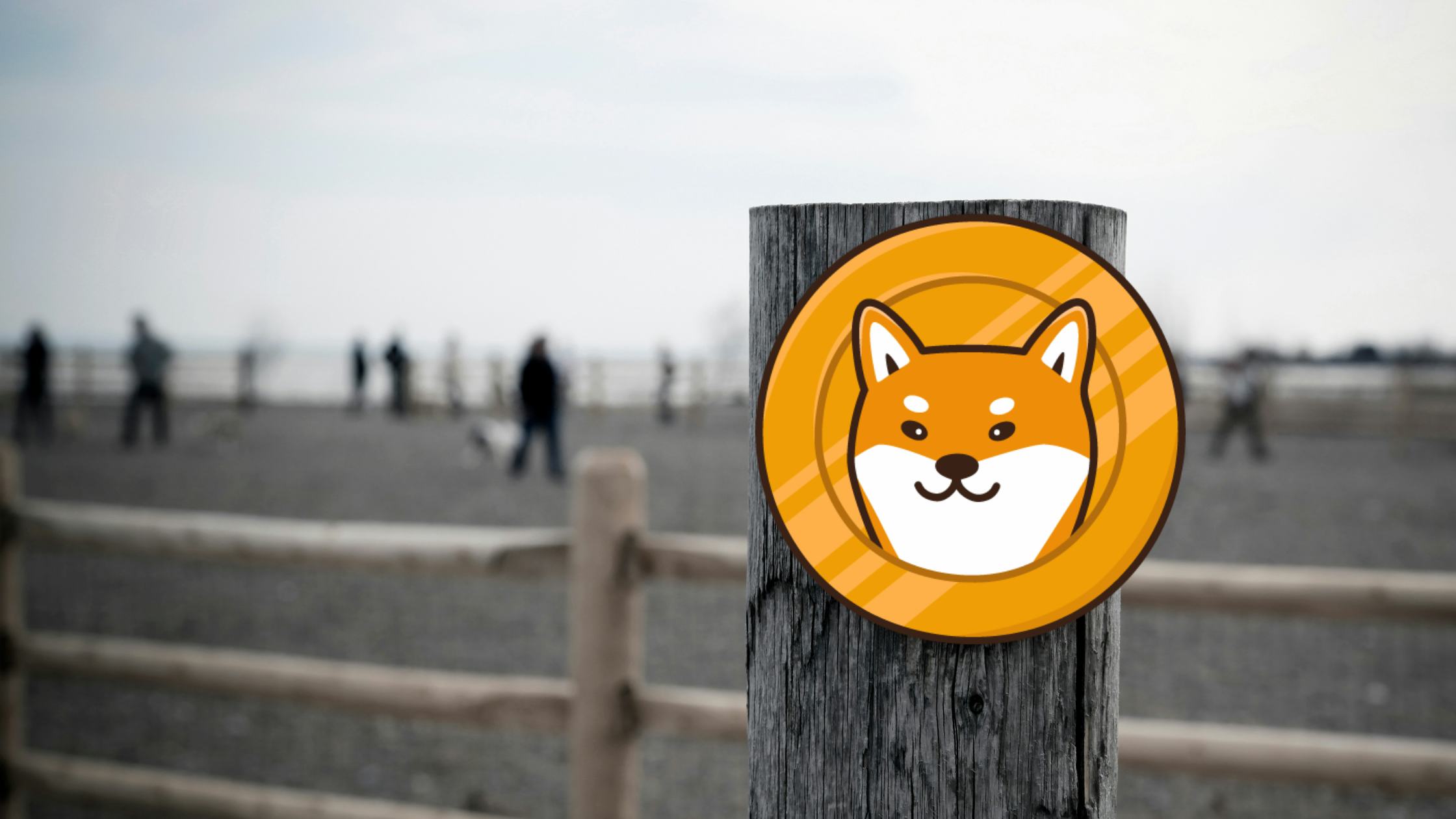 Shiba Inu Founder Deletes All Social Media Information