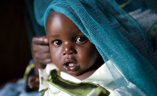 Child covered with net