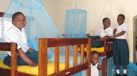 Insecticide-treated antimalarial bednets protecting families in Africa