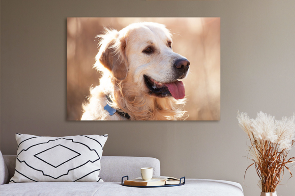 Foto op Aluminium Hond