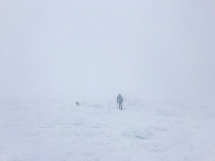 Lafayette Whiteout