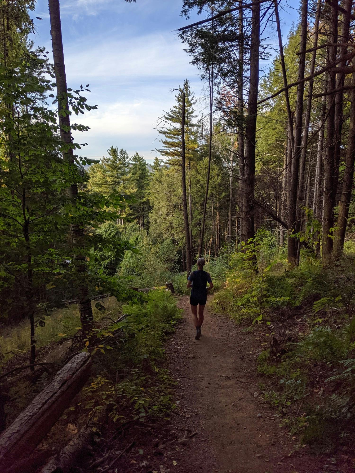 Out of the woods to the finish. Photo: Doug Lipinski