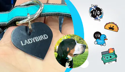 Booth giveaway graphic for amazee.io at DrupalCon Rotterdam featuring a hand holding a black heart-shaped pet tag engraved with "LADYBIRD", a photo of a Greater Swiss Mountain Dog, and custom stickers including a dumpster fire, rubber duck, taco, and shark logo.