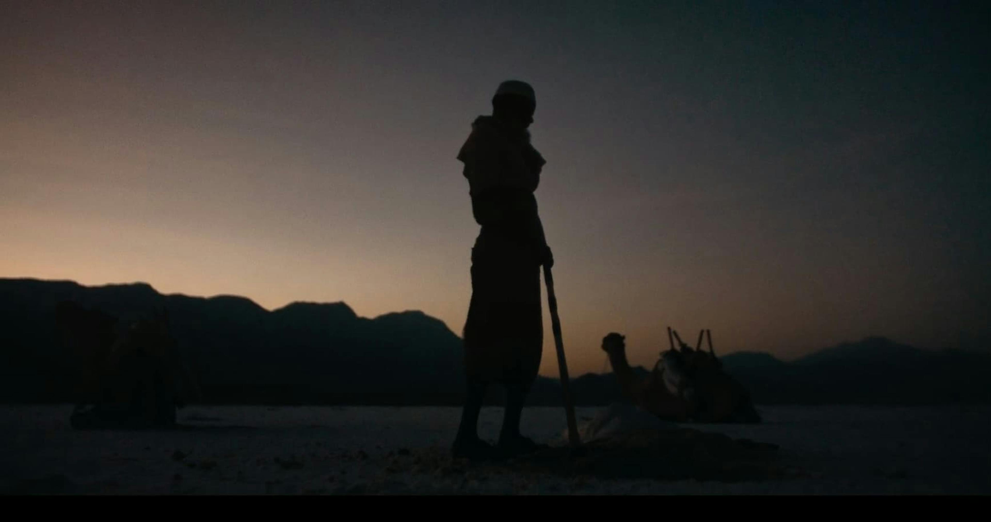 Camel and man in desert sunset