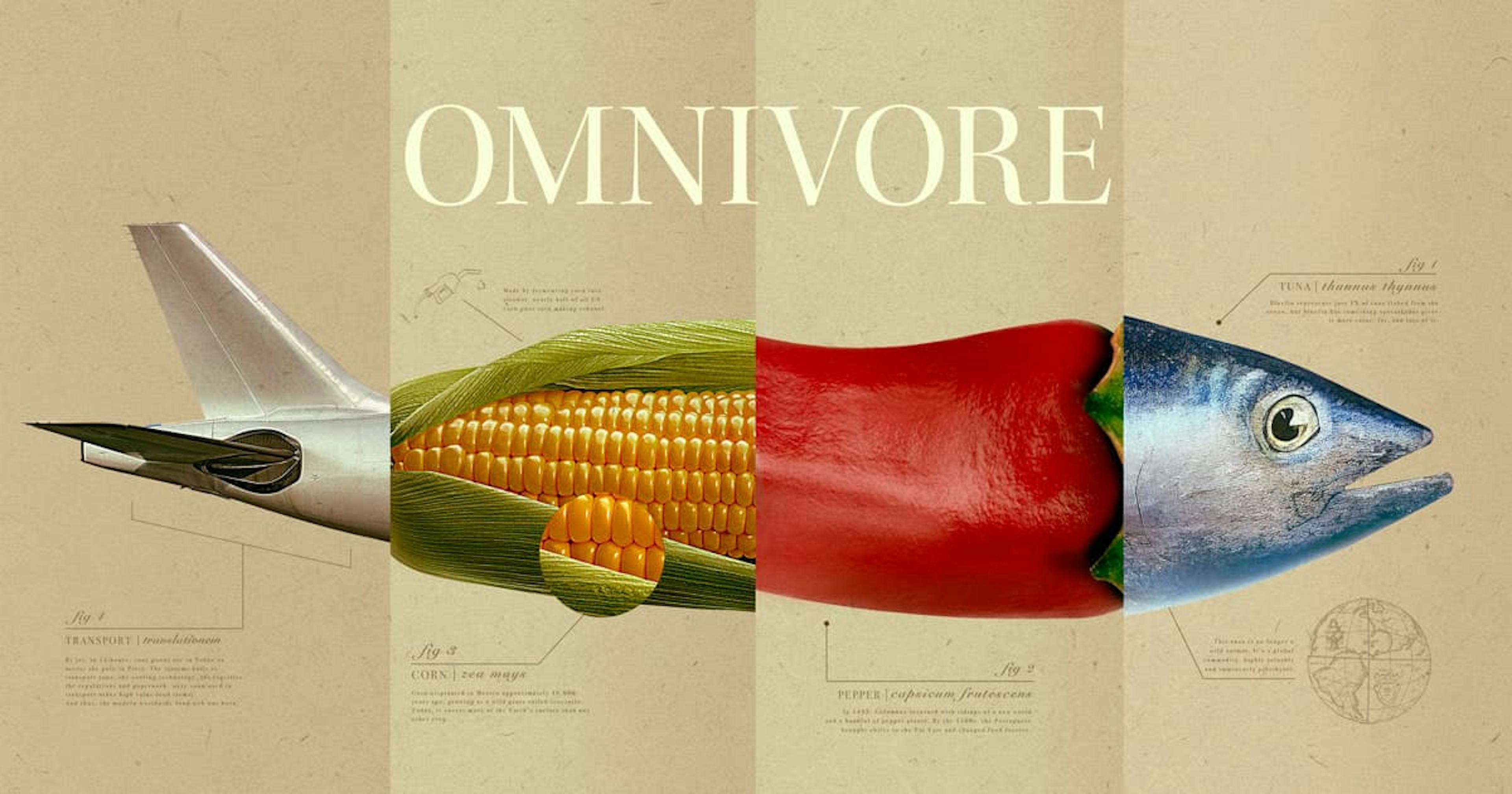 Diagram of fish depicted in 4 sections, fish head, pepper, corn on the cob and an airplane