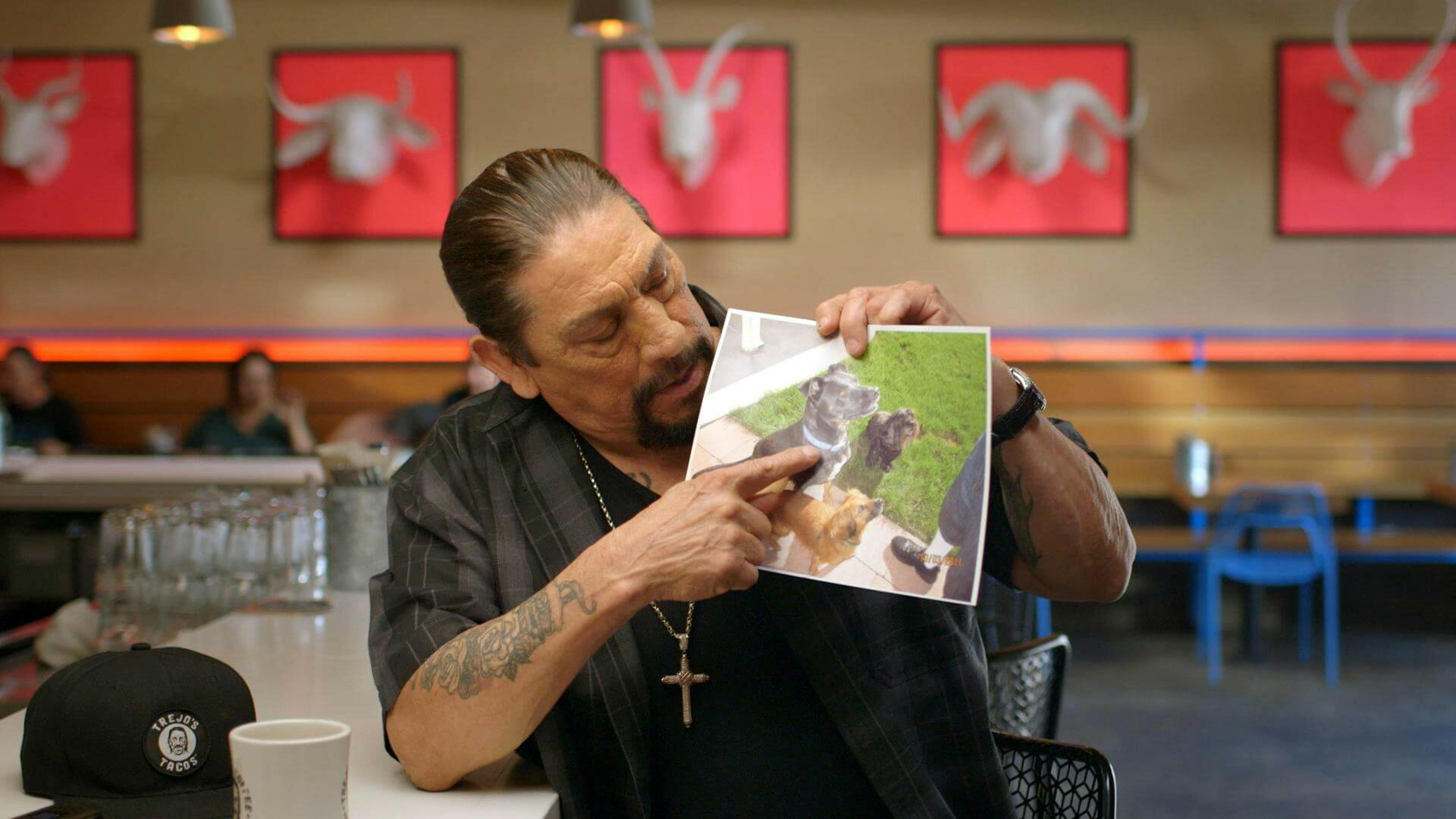 Man pointing to a photo of dogs