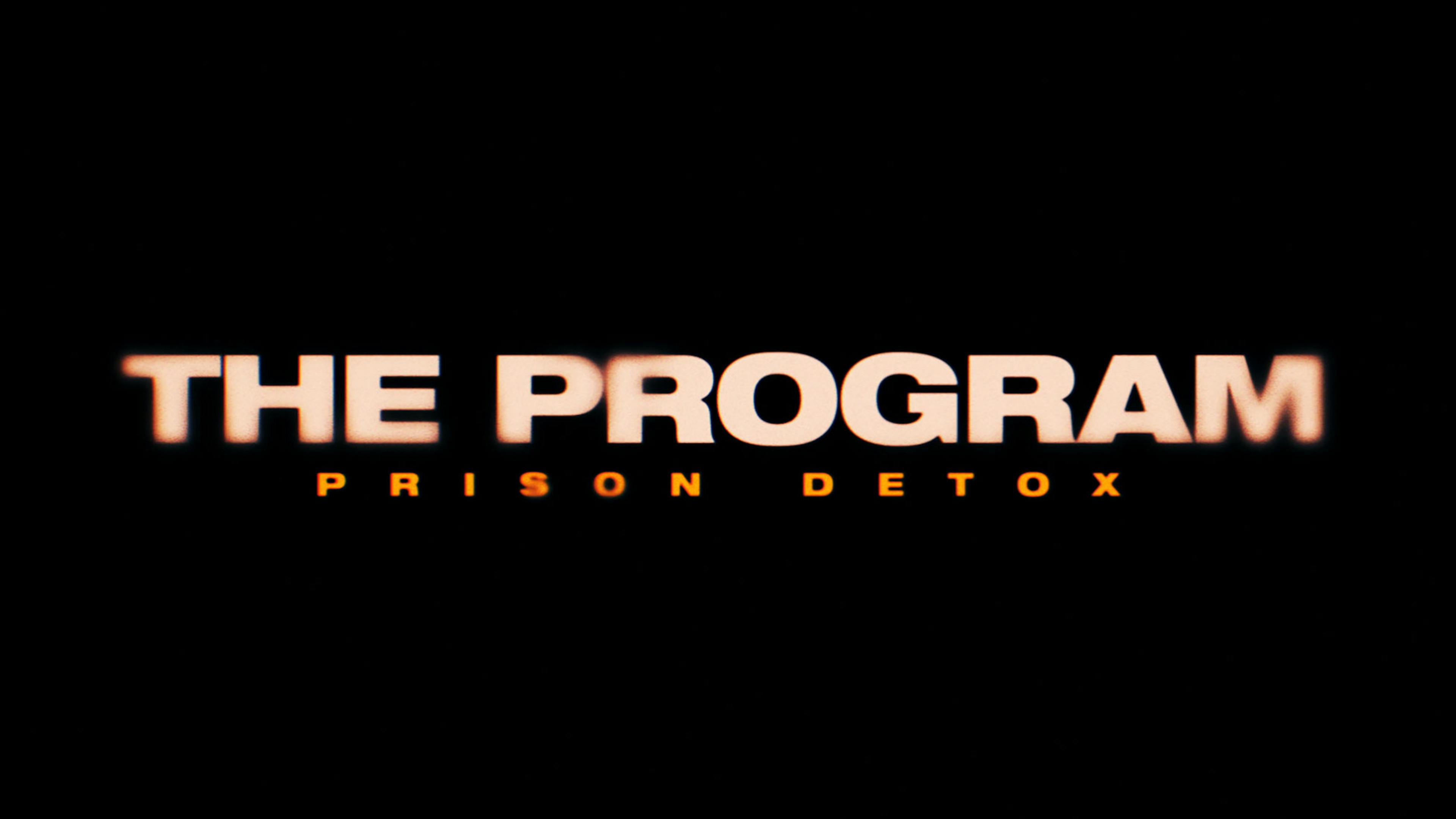 The Program logo
