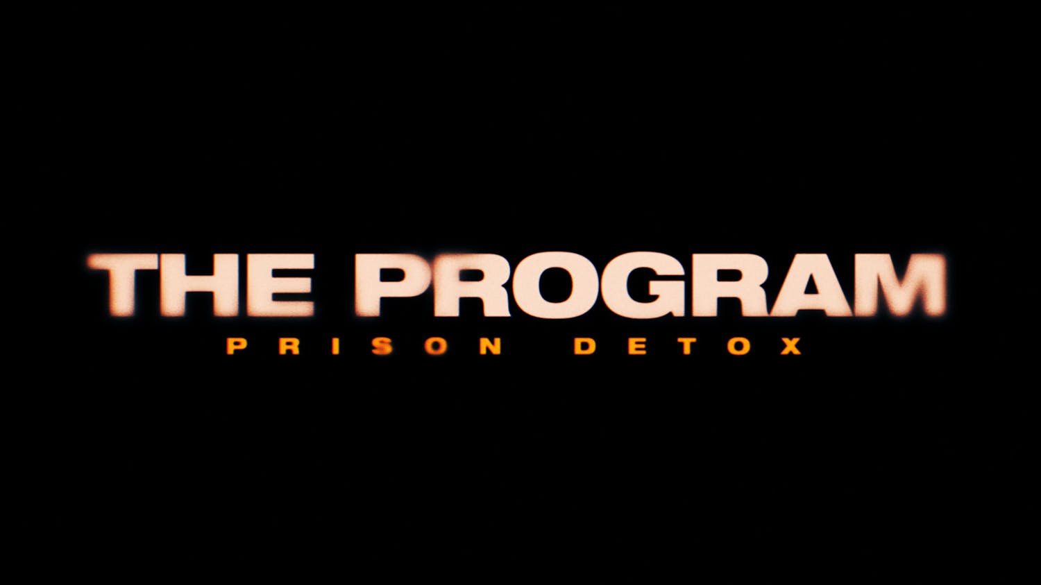 The Program logo