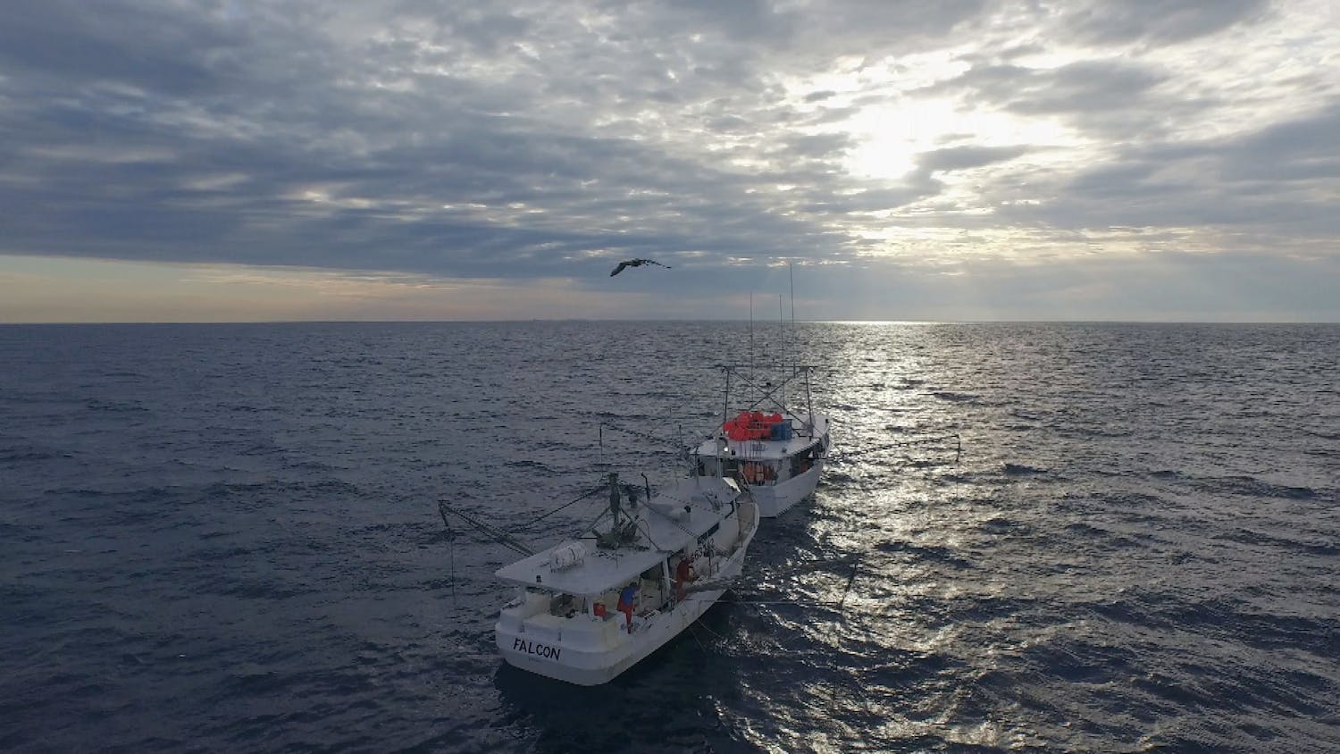 Fishing boat at sea